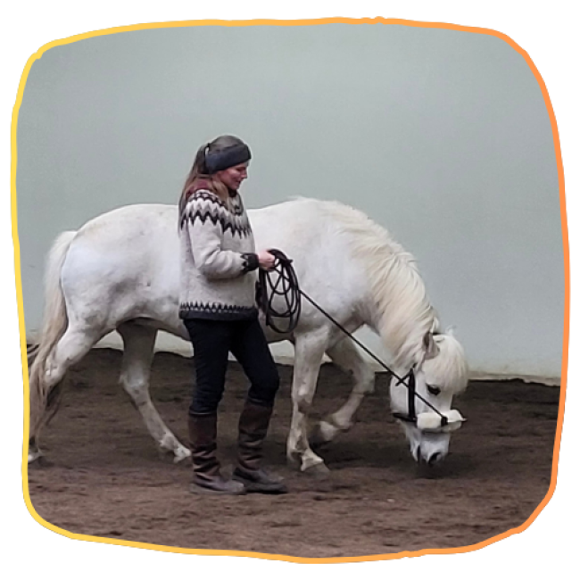 Zusammenhänge im Pferd - Video