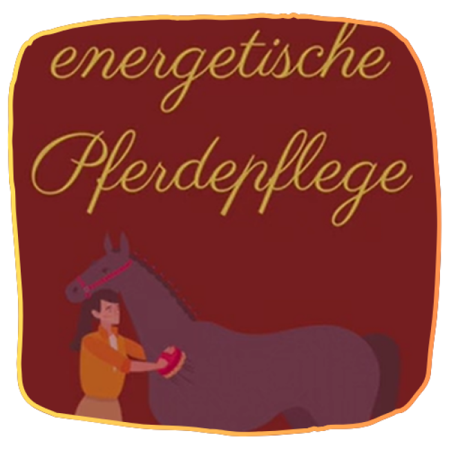 Energetische Pferdepflege