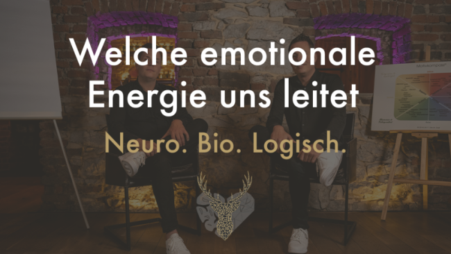 Welche emotionale Energie uns leitet