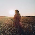 Grundkurs - Seminar 5