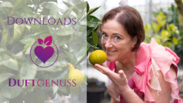 VWFS - Übersicht - Download