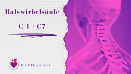 Halswirbelsäule