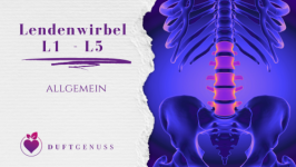 Lendenwirbelsäule