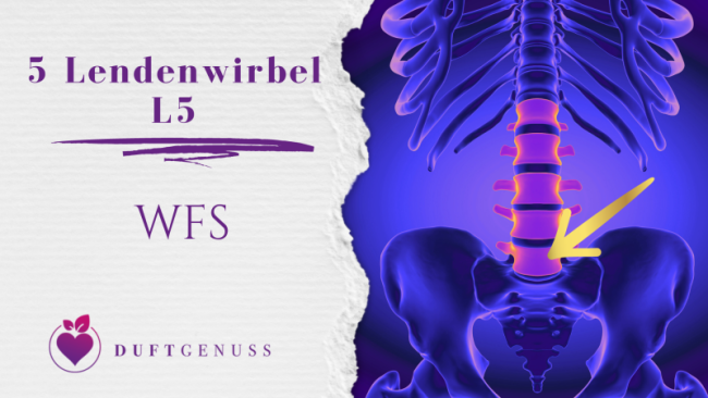 5 Lendenwirbel - L5