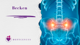 Zusatzmodul - Becken