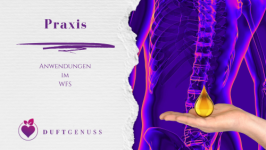 Praxisanwendung VWFS