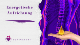 energetische Aufrichtung im VWFS