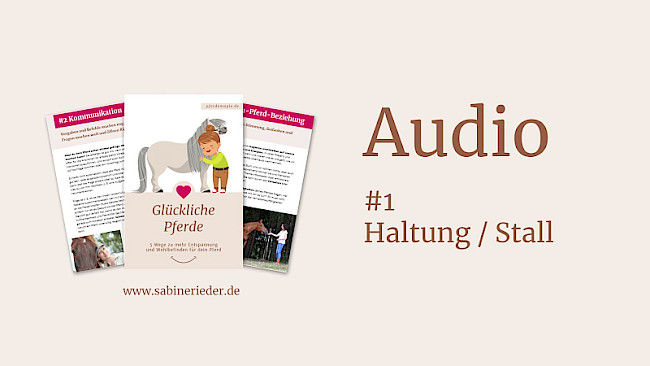 Teil 1: Haltung/Stall