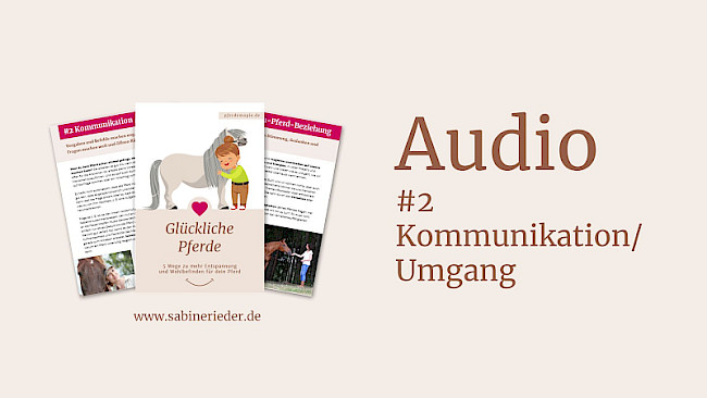 Teil 2: Kommunikation/Umgang