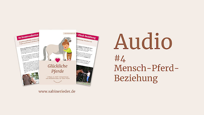 Teil 4: Mensch-Pferd-Beziehung