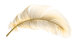 Gesangstrainings - XY Stimmen