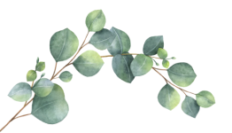 Embodiment - Körperverbindung