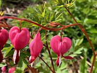 Mittwochs-Motivationen