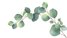 Repertoire - Wie du effektiv Songs lernst