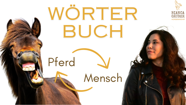 Wörterbuch Pferd-Mensch, Mensch-Pferd