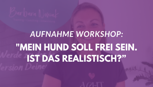 Mein Hund soll frei sein. Ist das realistisch?