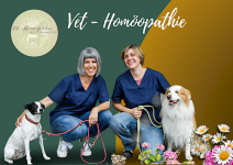 Allgemeine Informationen-Erreichbarkeit-Kontakt