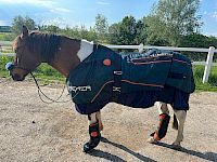 Physikalische Gefäßtherapie BEMER