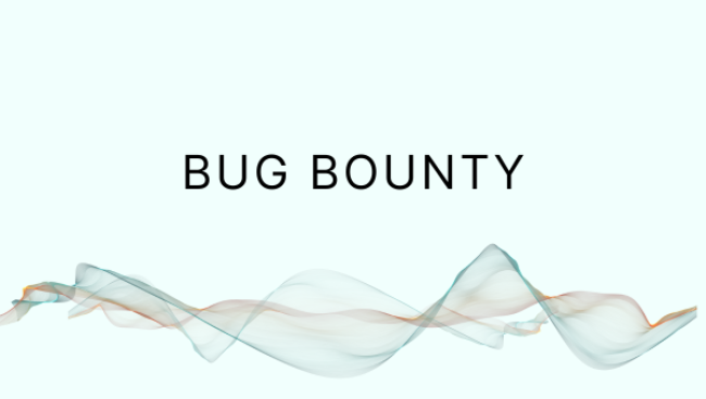 Bug Bounty: Wie du mit Sicherheitslücken Geld verdienen kannst