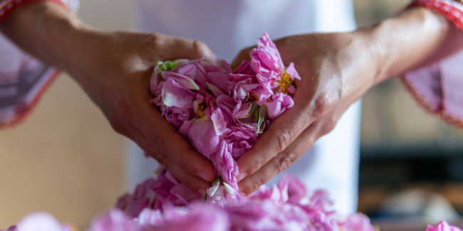 Vom Mangel in die Fülle 1/2 - Praxisbeispiel