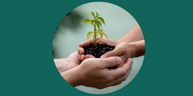 Verteilung von Aufgaben und Verantwortlichkeiten