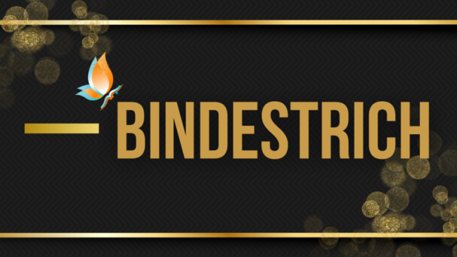 Bindestrich