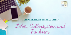 Modul 12 - Leber, Gallensystem und Pankreas