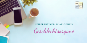 Modul 21 - Geschlechtsorgane