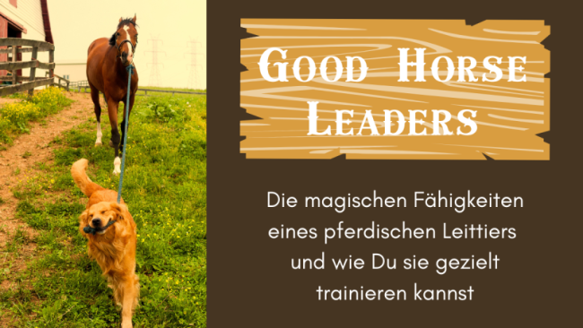 Good Horse Leaders