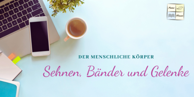 Sehnen, Bänder und Gelenke