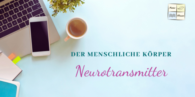 Neurotransmitter