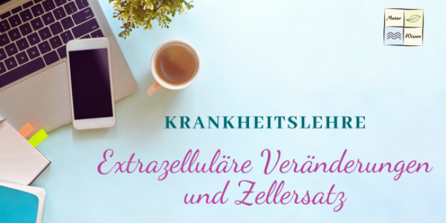 Extrazelluläre Veränderungen und Zellersatz