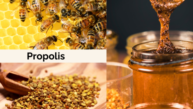 Propolis