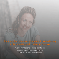 Vom Dauer-Alarm zu echter Stabilität