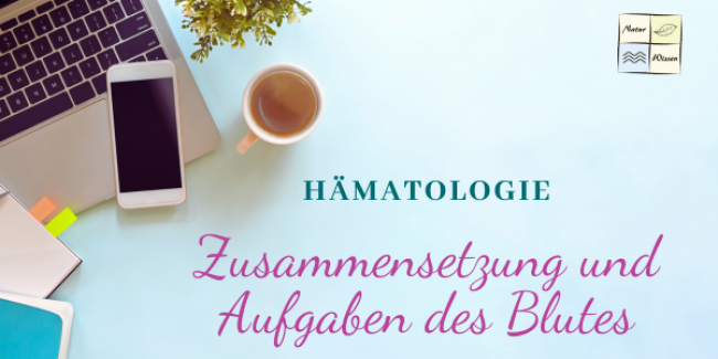 Zusammensetzung und Aufgaben des Blutes