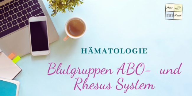 Blutgruppen ABO- und Rhesus System