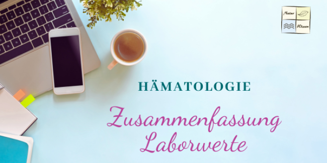 Zusammenfassung Laborwerte