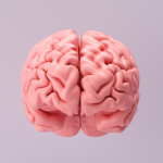 Mentales Schlankheitstraining - Alle Seminare