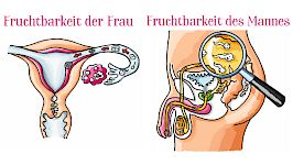 Kapitel 2 / Fruchtbarkeit von Frau & Mann