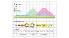 Kapitel 9 / Stimmungsschwankungen PMS