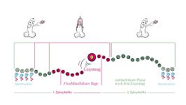 Kapitel 11 / Kondom geplatzt