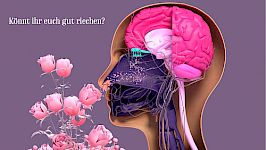 Kapitel 13 / Geruch und Partner:innen Wahl