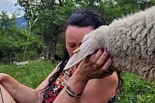 Heilgebete für Tiere