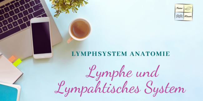 Lymphe und lympahtisches System