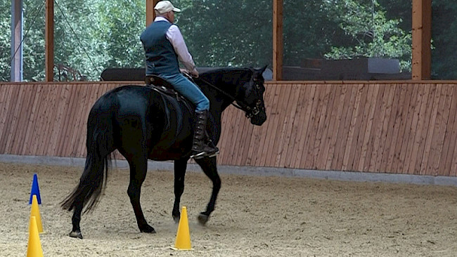 12 | Kleeblatt: Linienkontrolle