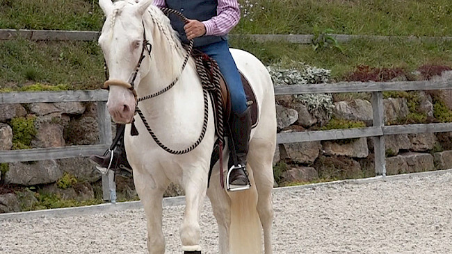 5 | Pentagon: Rückwärts