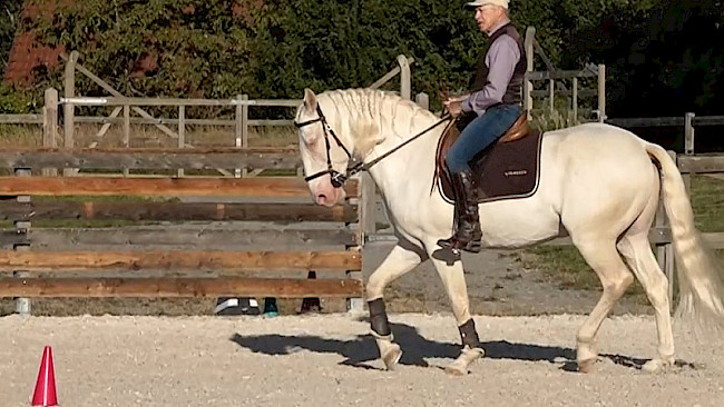 8 | Mittel-, Viertellinien & Volte