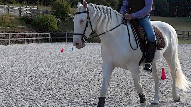 13 | Übergänge: Mittelzirkel