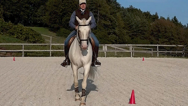 9 | Gerade Linien, Vor- & Hinterhandwendung