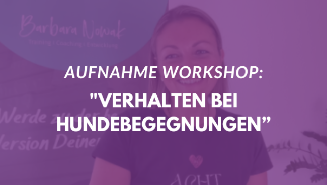 Verhalten bei Hundebegegnungen